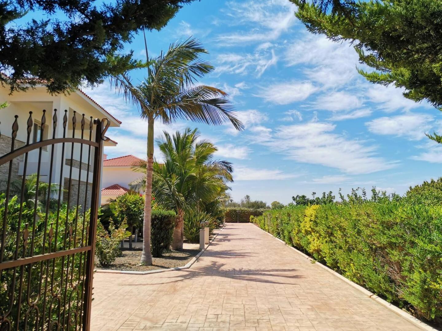 Orchard Blossom Private Villa With Pool Phrenaros Εξωτερικό φωτογραφία