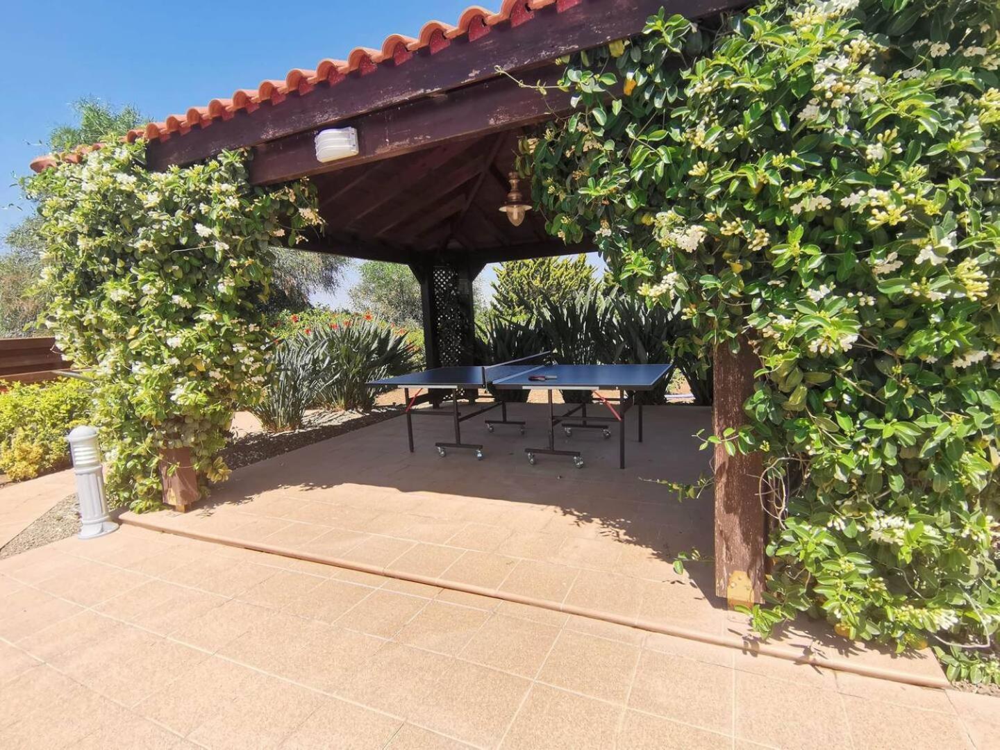 Orchard Blossom Private Villa With Pool Phrenaros Εξωτερικό φωτογραφία