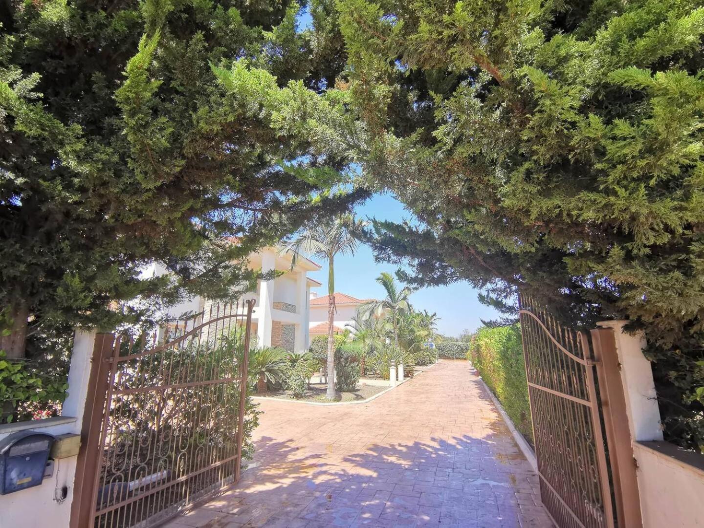 Orchard Blossom Private Villa With Pool Phrenaros Εξωτερικό φωτογραφία